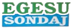 Ege Su Sondaj 